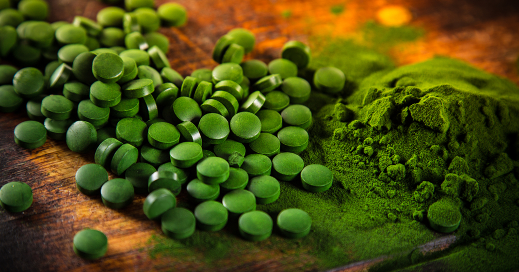 about chlorella