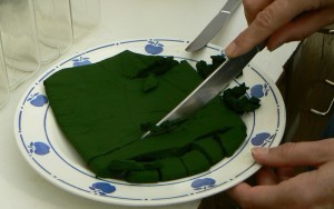 افزایش ضریب هوشی نوزاد به کمک اسپیرولینا 4 spirulina FRESH