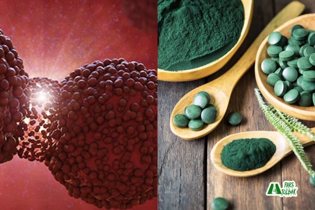 تأثیر اسپیرولینا بر سرطان